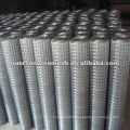 Anping factory Low price Galvanized welded wire mesh